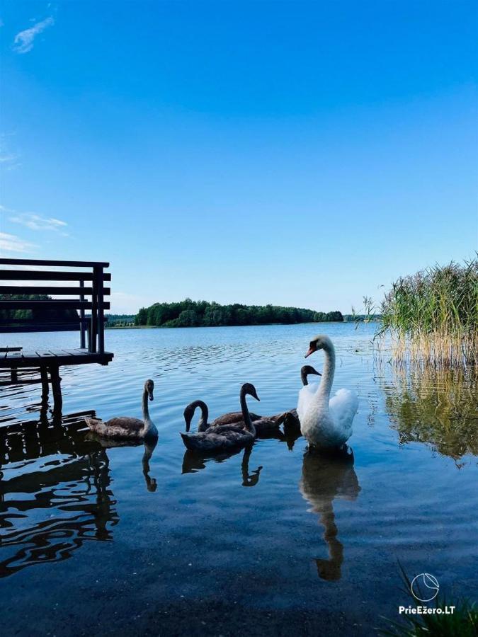 Resort By Nava Lake Aukštadvaris 외부 사진
